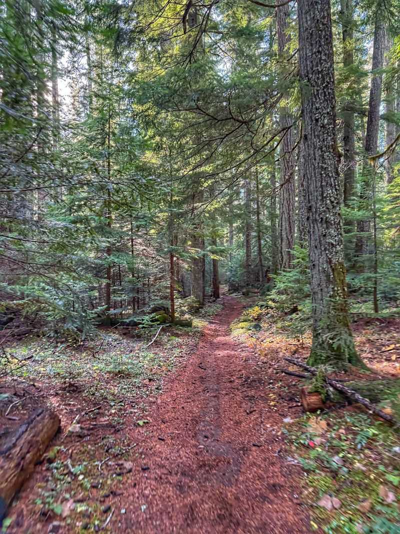 McKenzie River Trail Rides That End at Your Front Door