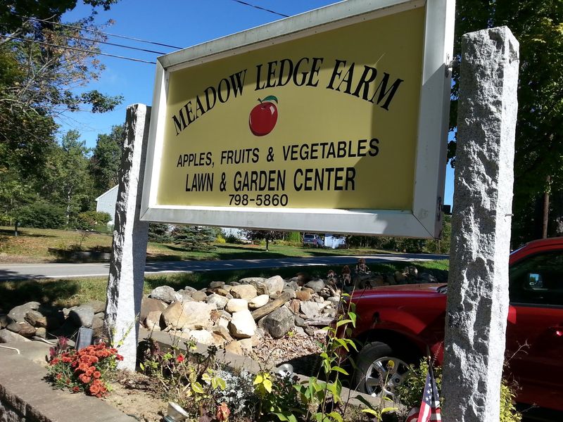 Meadow Ledge Farm Meadow Ledge Farm