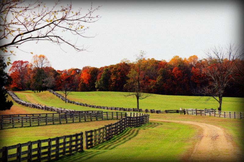 Meadows, Fence Lines, And Big Open Sky