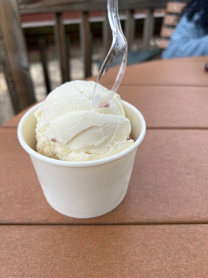 Midnight Mint And Raspberry Chocolate Chip For The Bold