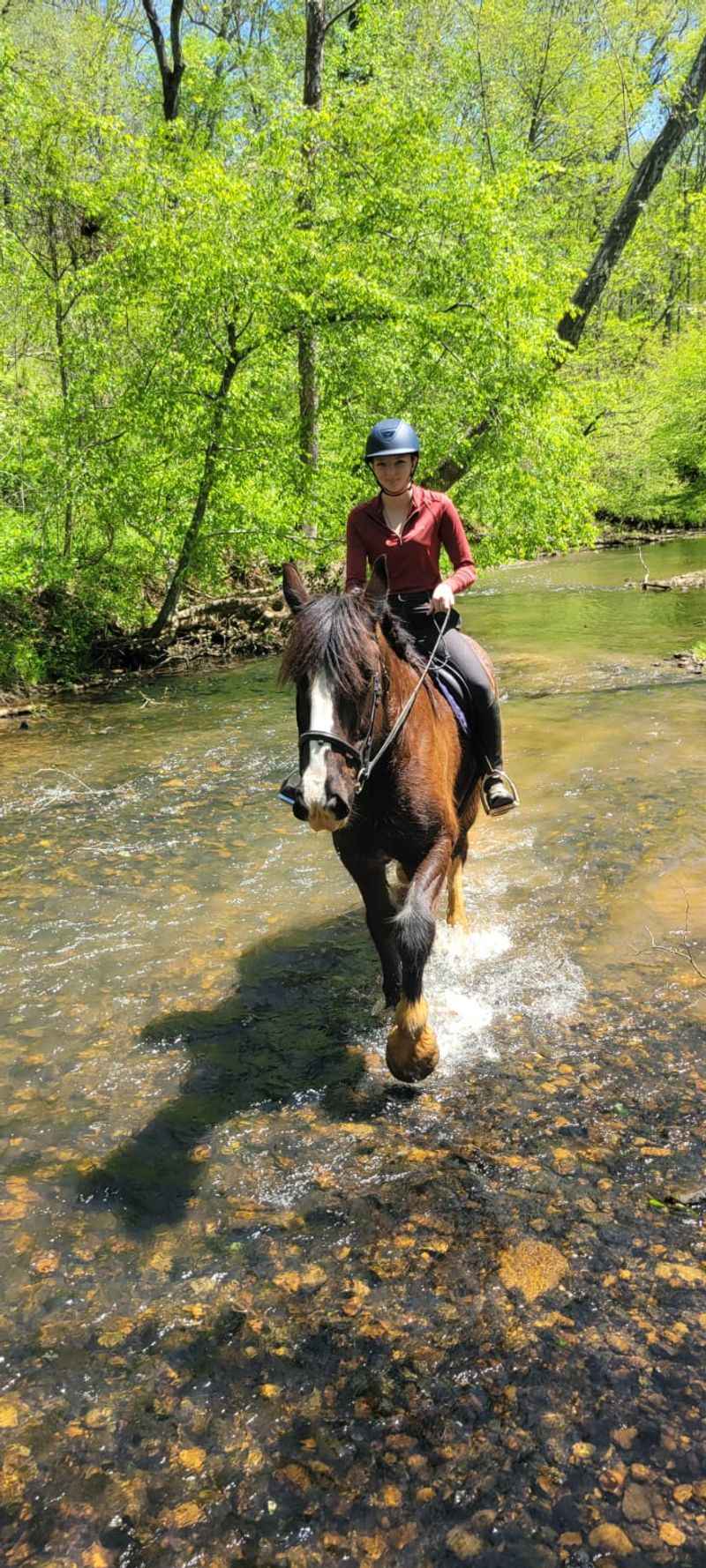 Miles of Trails Made for Wandering Miles of Trails Made for Wandering
