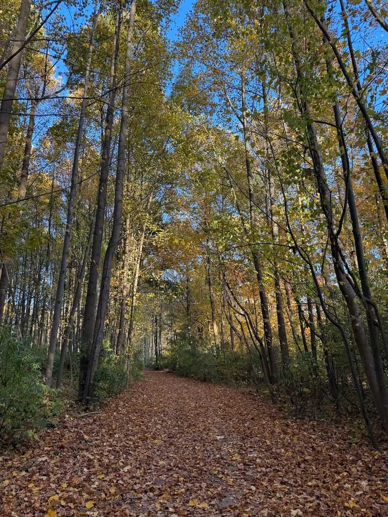 Miles of Trails for Every Kind of Mood Miles of Trails for Every Kind of Mood