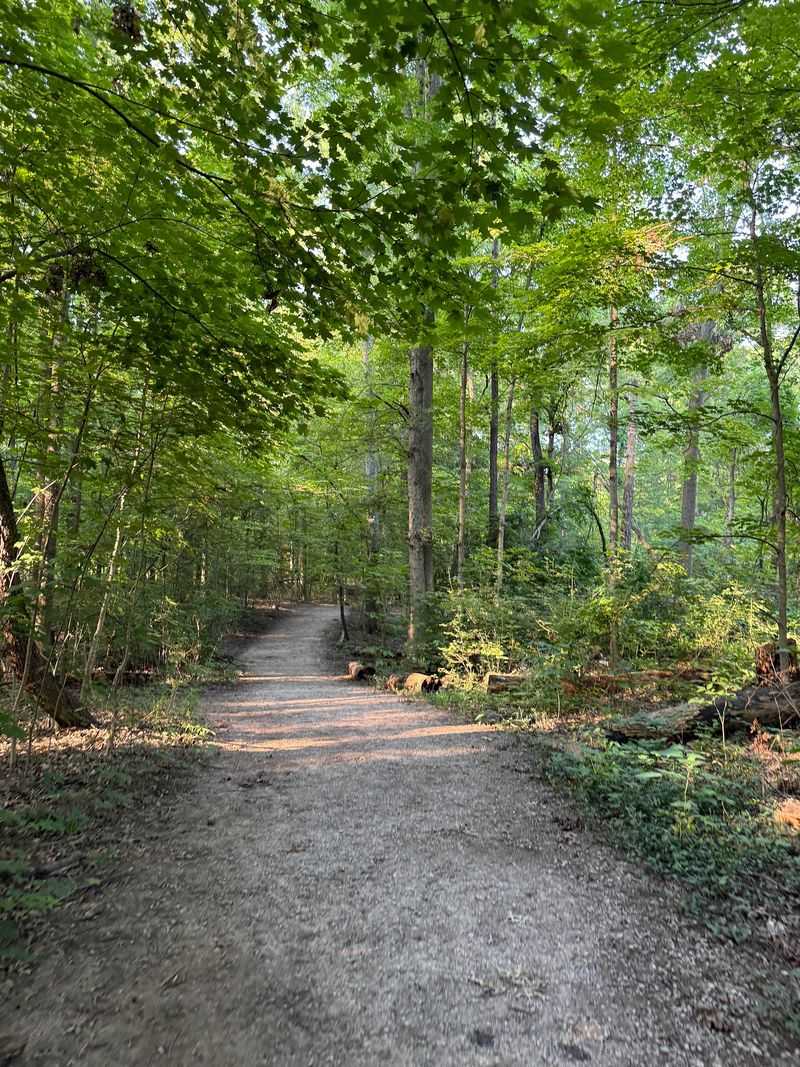 Miles of Trails for Every Kind of Walker