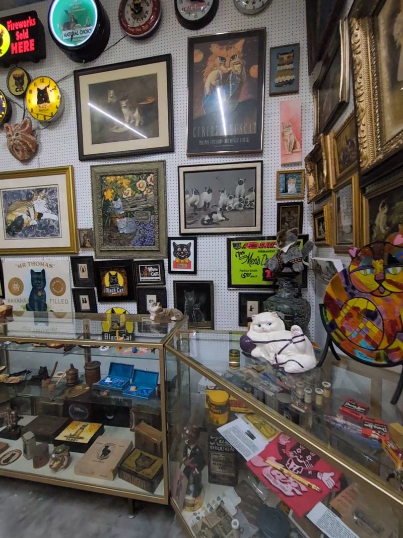 More Than 10,000 Cat Artifacts Under One Roof More Than 10,000 Cat Artifacts Under One Roof