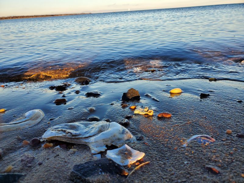 Morning Light Across The Shallows