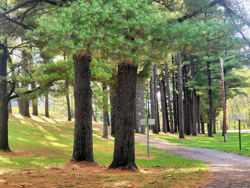 Morsches Park, 130 Acres of Trails, Ponds and Playgrounds