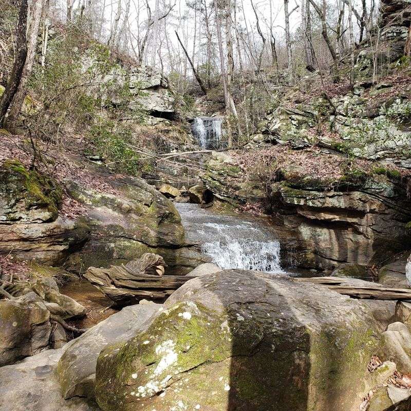 Moss Rock Preserve in Hoover Moss Rock Preserve in Hoover