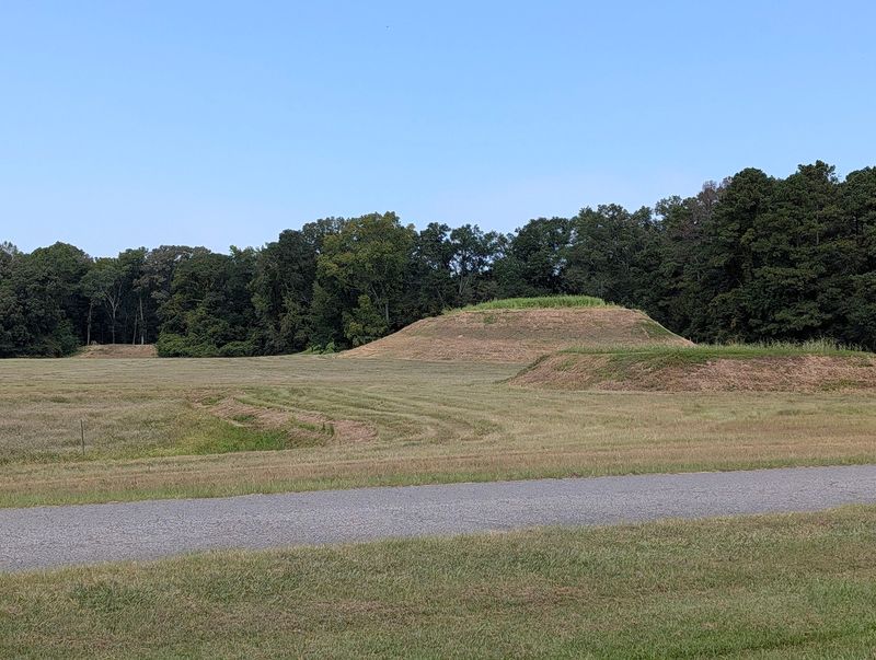 Moundville, Earthworks From A Vanished City