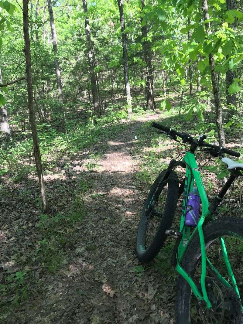 Mountain Bike Paths And Disc Golf Fun Mountain Bike Paths And Disc Golf Fun