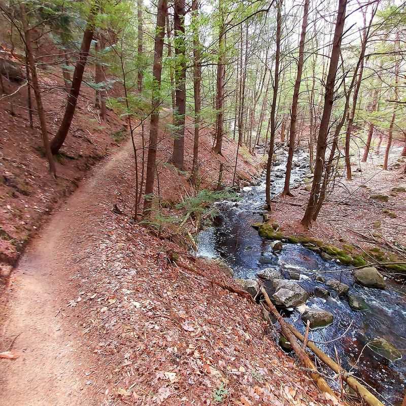 Mountain Bike Trails Riders Whisper About Mountain Bike Trails Riders Whisper About