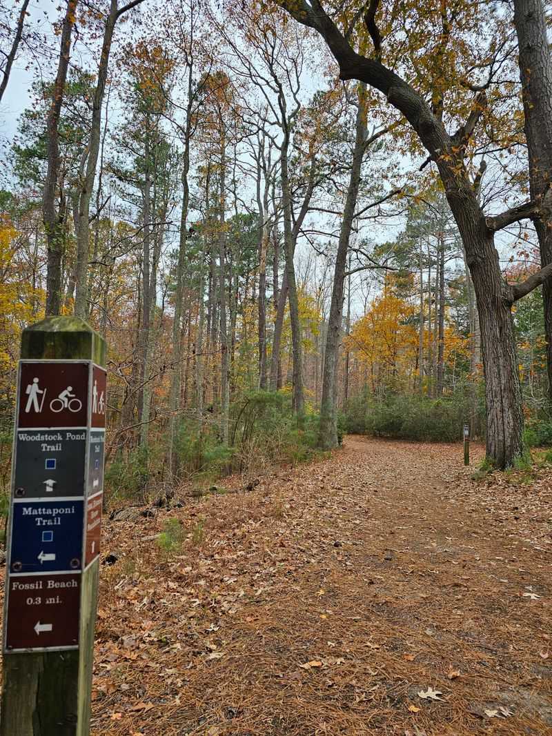 Mountain Biking and Trail Options for the More Adventurous