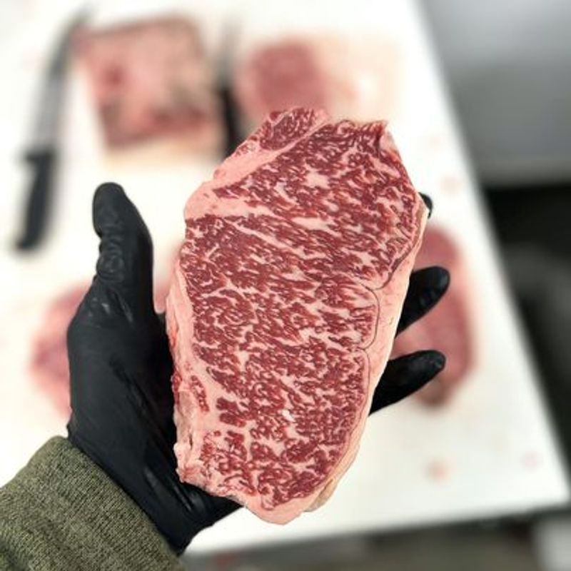 Mountain Steer Meat Company Mountain Steer Meat Company
