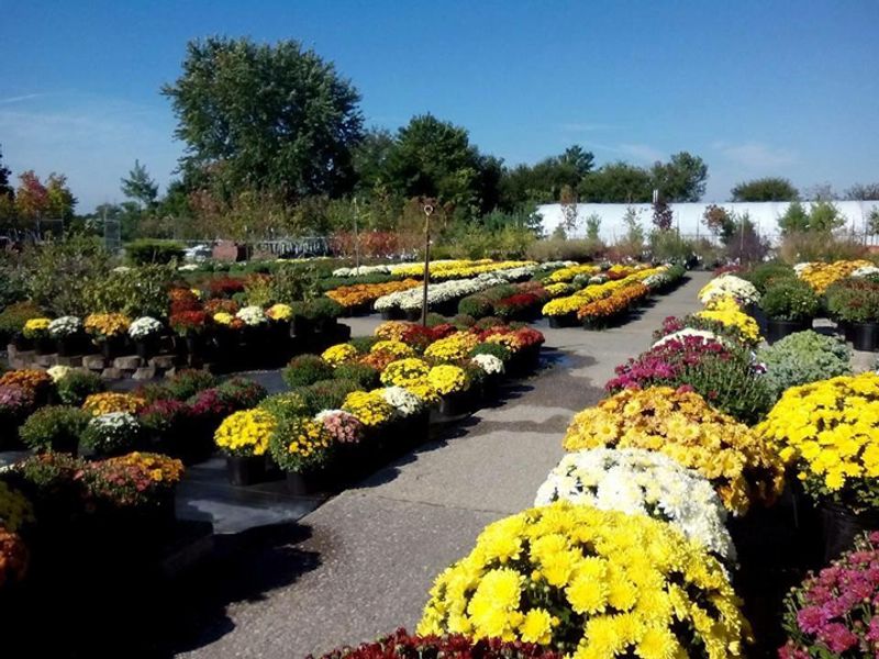 Mowers, Mums, and Every Season in Between