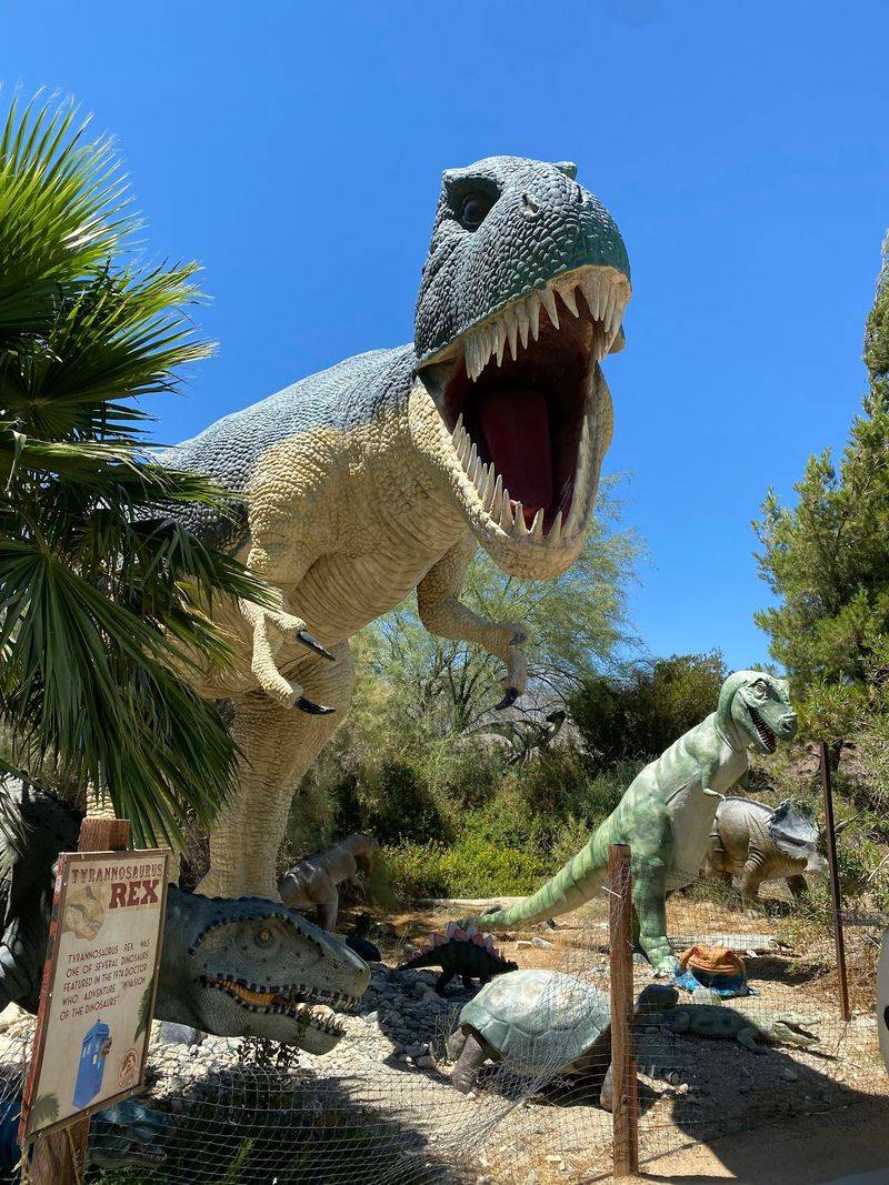 Mr. Rex's Dinosaur Adventure and the Herd Out Back Mr. Rex's Dinosaur Adventure and the Herd Out Back