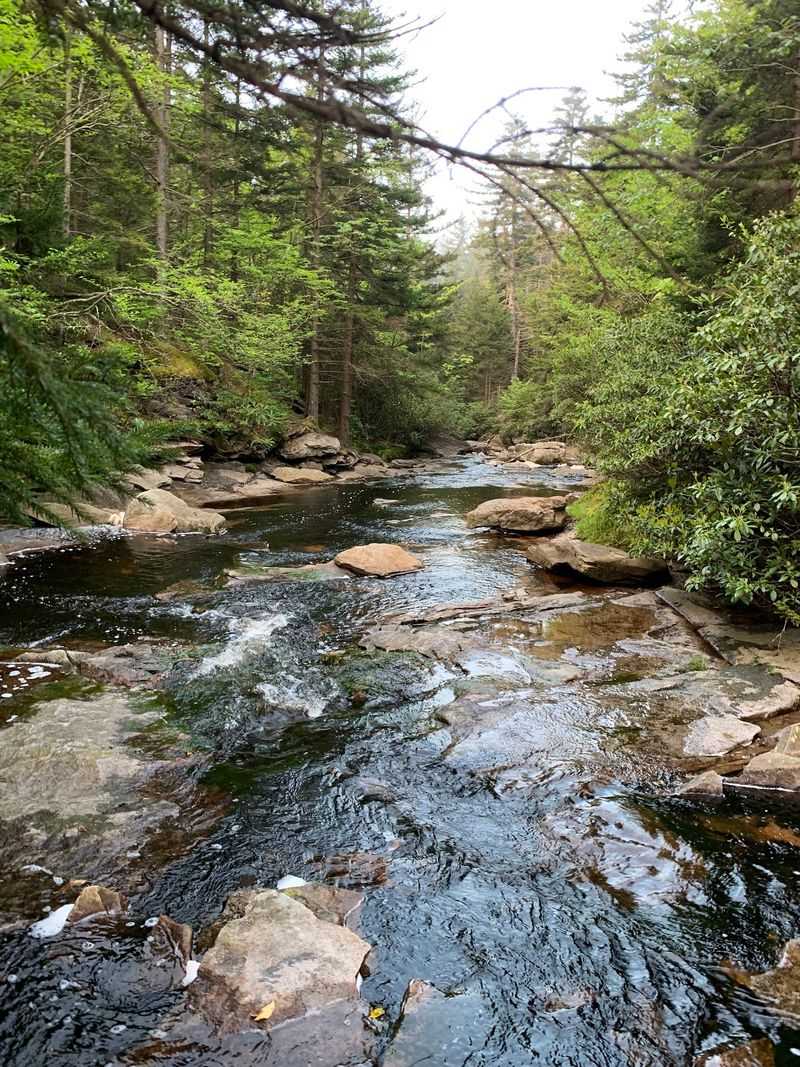 Muddy Boots and Trails That Turn Into Creeks