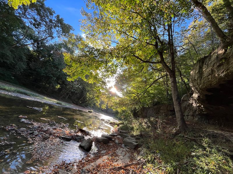 Muscatatuck Falls, North Vernon Muscatatuck Falls, North Vernon
