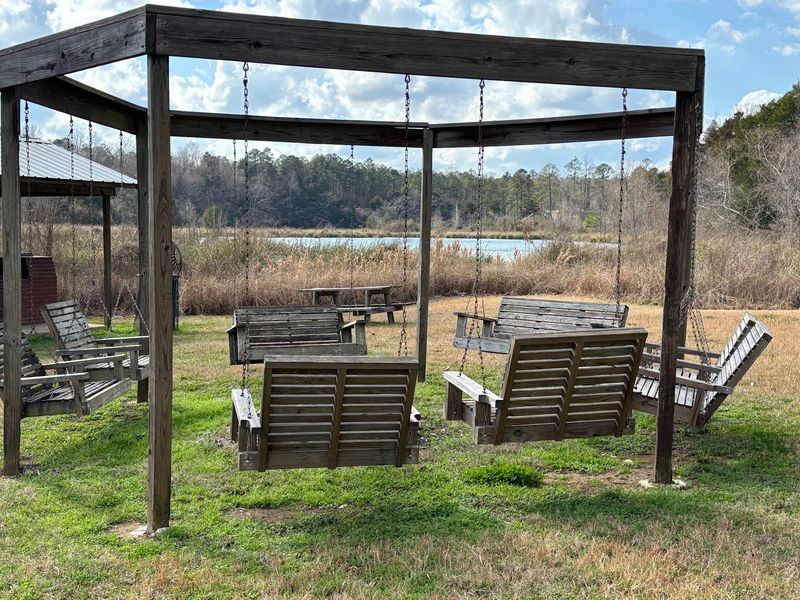 Museum Artifacts, Disc Golf, and a Night Under the Pines