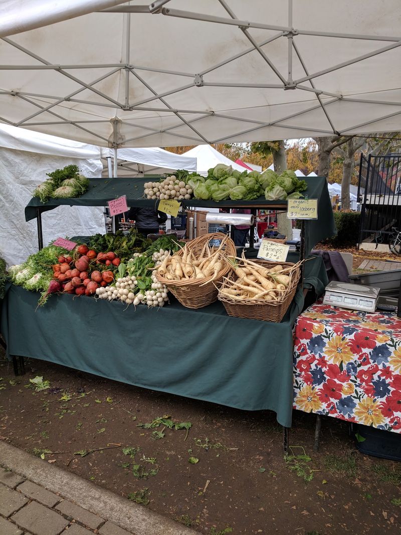 Mushroom Growers Steal The Show In Wet Weather Mushroom Growers Steal The Show In Wet Weather