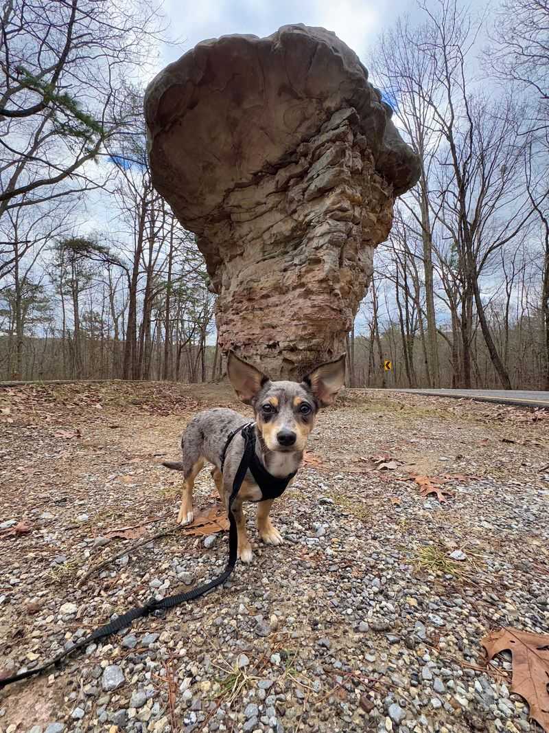 Mushroom Rock and Other Stone Oddities