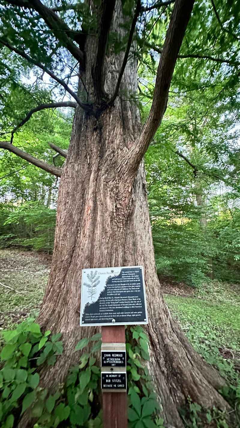 Name Tags on the Trees and Stories on the Signs Name Tags on the Trees and Stories on the Signs