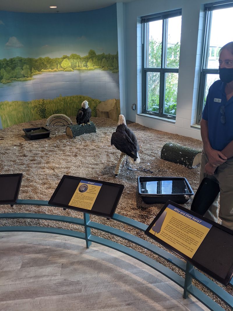 National Eagle Center, Wabasha National Eagle Center, Wabasha