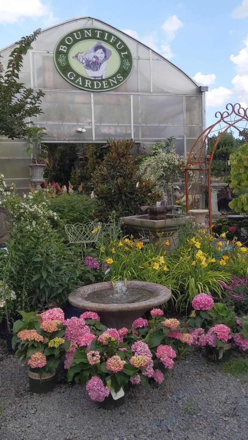 Native Plants Built For Local Pollinators