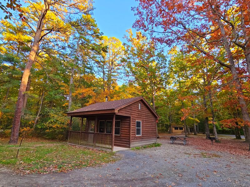 Nature Programs That Make Learning Fun