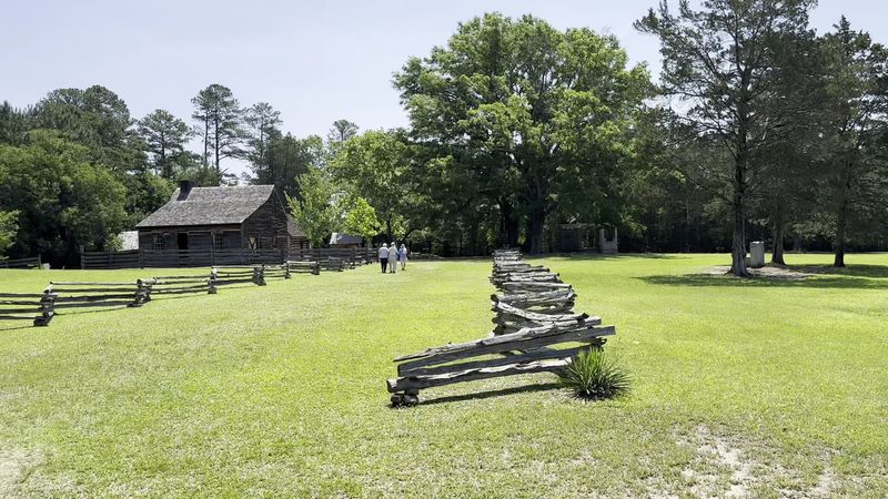Nature Trails, Picnic Spots, and Planning Your Visit