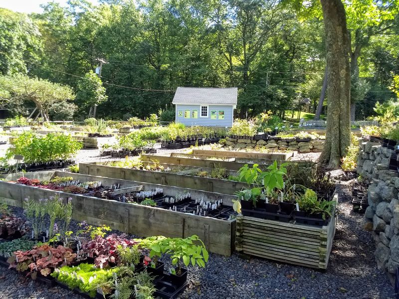 Nearly Two Thousand Plant Varieties In One Place Nearly Two Thousand Plant Varieties In One Place