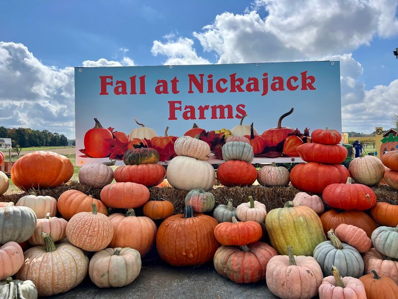 Nickajack Farms, North Lawrence, OH Nickajack Farms, North Lawrence, OH