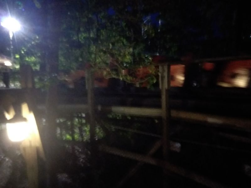 Night Rides That Belong In Coaster Folklore Night Rides That Belong In Coaster Folklore