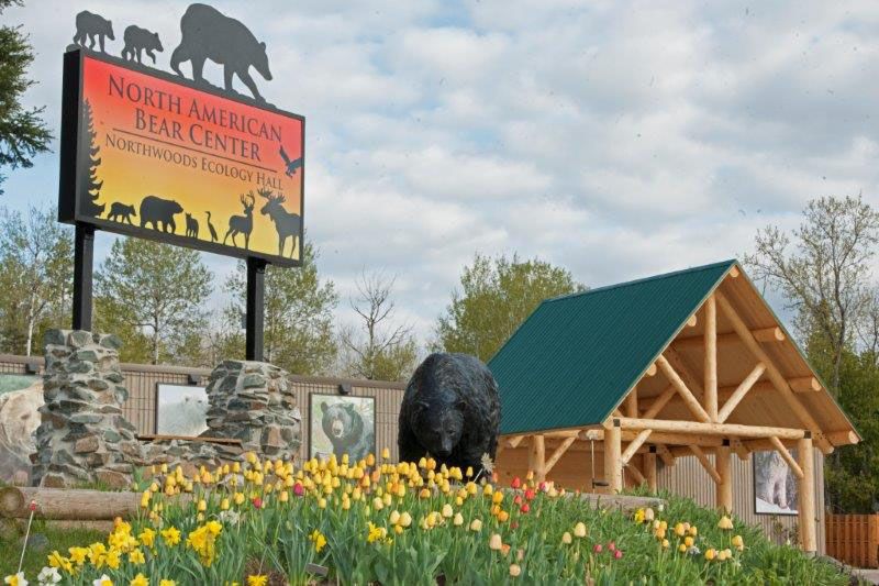North American Bear Center, Ely North American Bear Center, Ely
