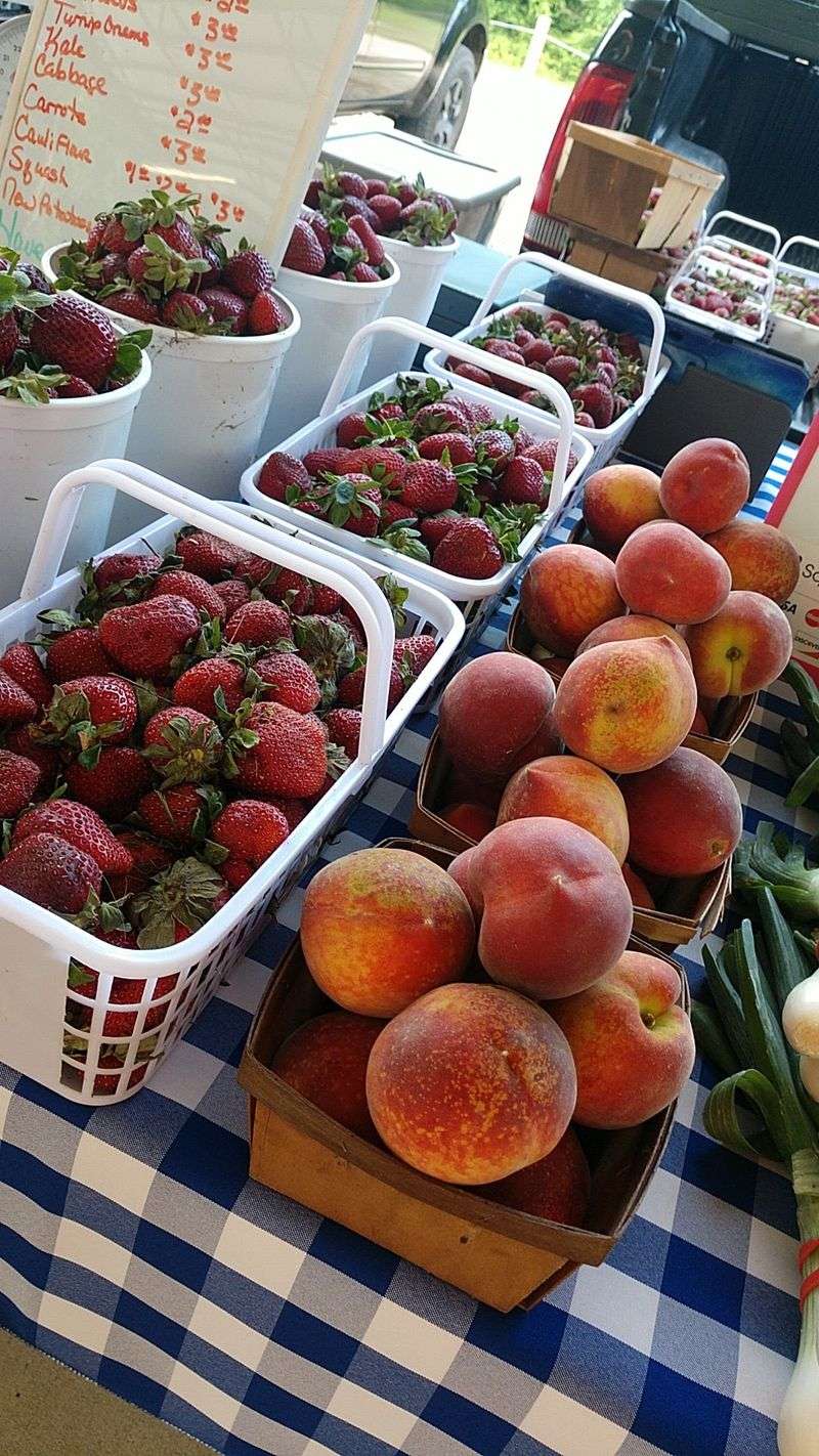 Northport Farmers Market, Northport