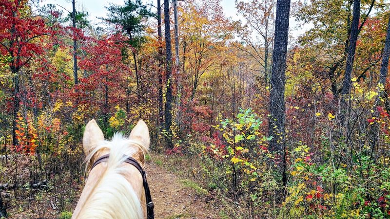 November Light and the Case for Shoulder Season