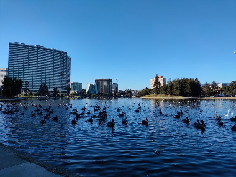 Oakland Oakland