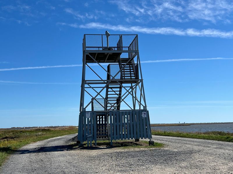 Observation Towers And The View That Widens Everything Observation Towers And The View That Widens Everything