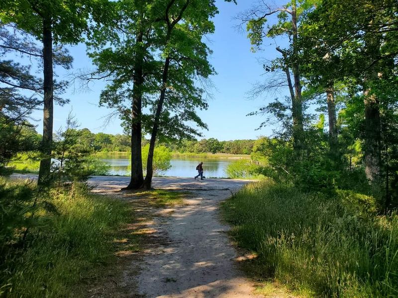 Old Cart Paths Turned Into Easy Walking Trails