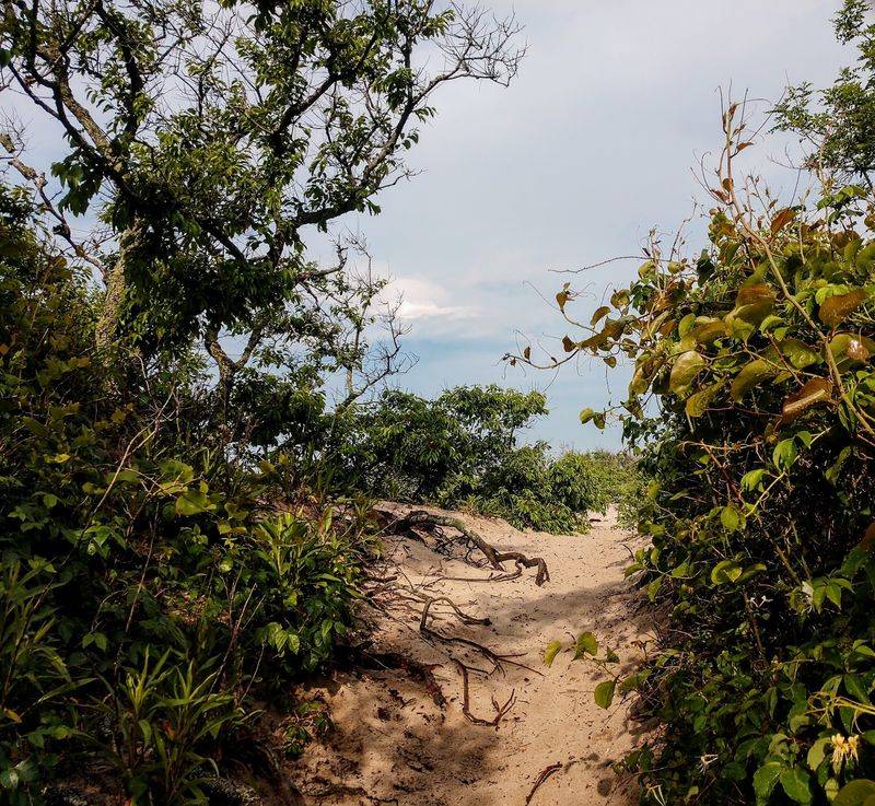 One Of North America's Great Bird Stopovers One Of North America's Great Bird Stopovers