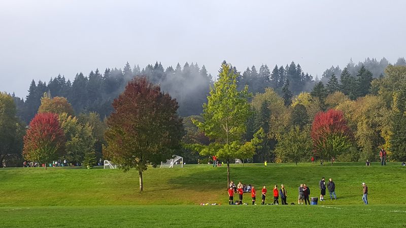 Open Fields Where Community Shows Up