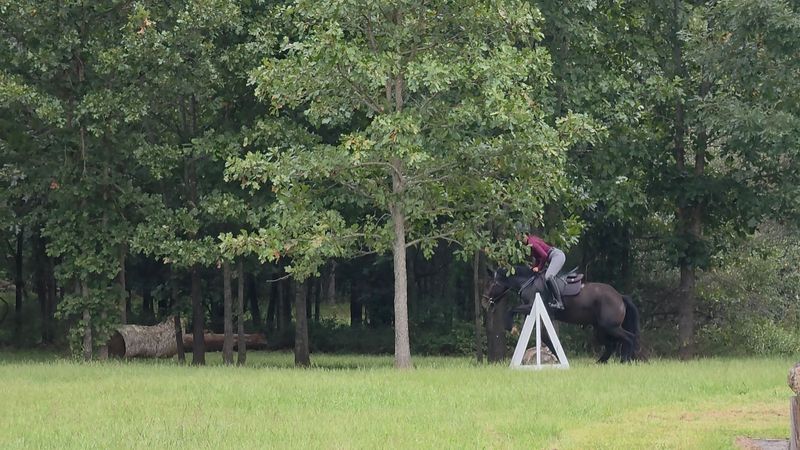 Open Trail Days, Poker Rides and Pleasure Rides Open Trail Days, Poker Rides and Pleasure Rides