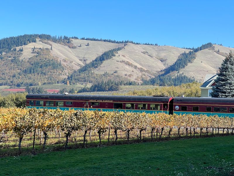 Orchards That Turn Gold in October Orchards That Turn Gold in October