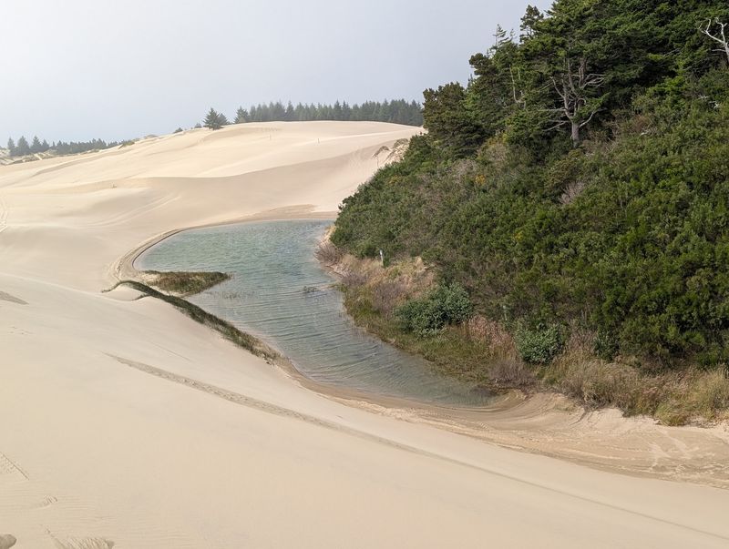 Oregon Dunes National Recreation Area Oregon Dunes National Recreation Area