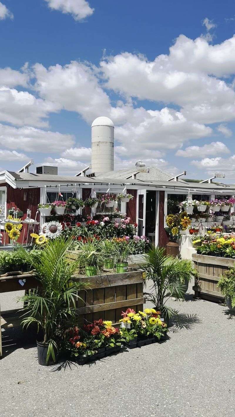 Ort Farms, Long Valley