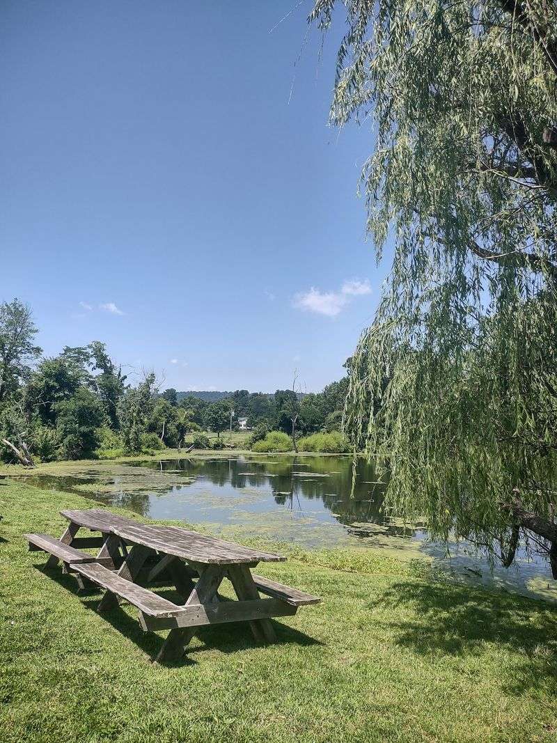 Outdoor Hangouts Under Blue Ridge Skies