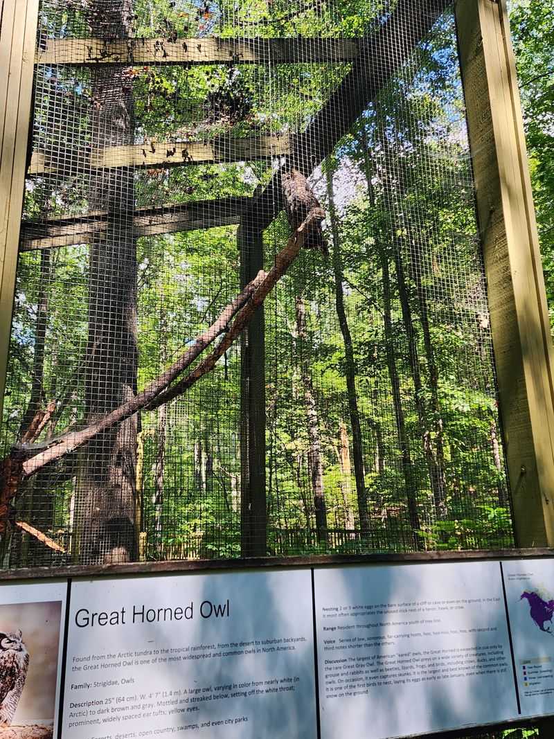 Owls, Hawks, and a Bald Eagle Along the Treetop Nature Trail Owls, Hawks, and a Bald Eagle Along the Treetop Nature Trail