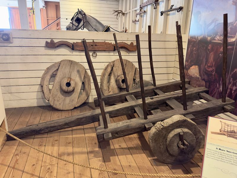 Ox Carts, Freighters, and a Generous Rancher Ox Carts, Freighters, and a Generous Rancher