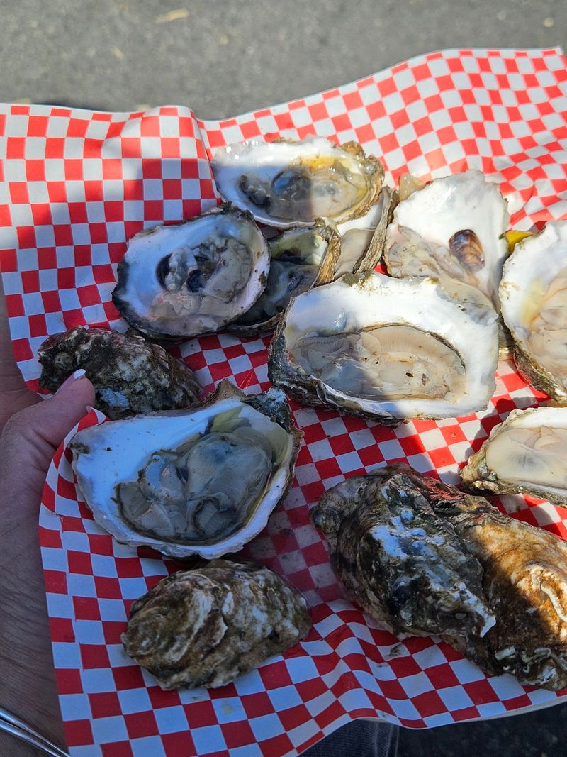 Oyster and Chowder Festival, Gilford Oyster and Chowder Festival, Gilford