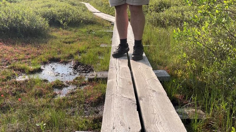 Pack Smart for a Bog Adventure Pack Smart for a Bog Adventure