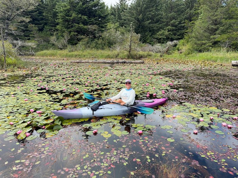 Paddling Past Lily Pads In A Rented Canoe