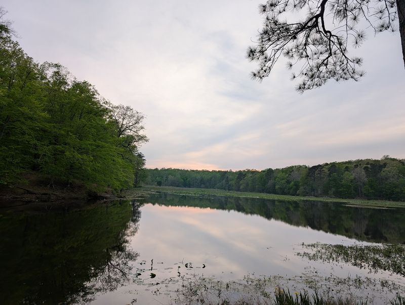 Paddling Swift Creek Lake and Beaver Lake Paddling Swift Creek Lake and Beaver Lake